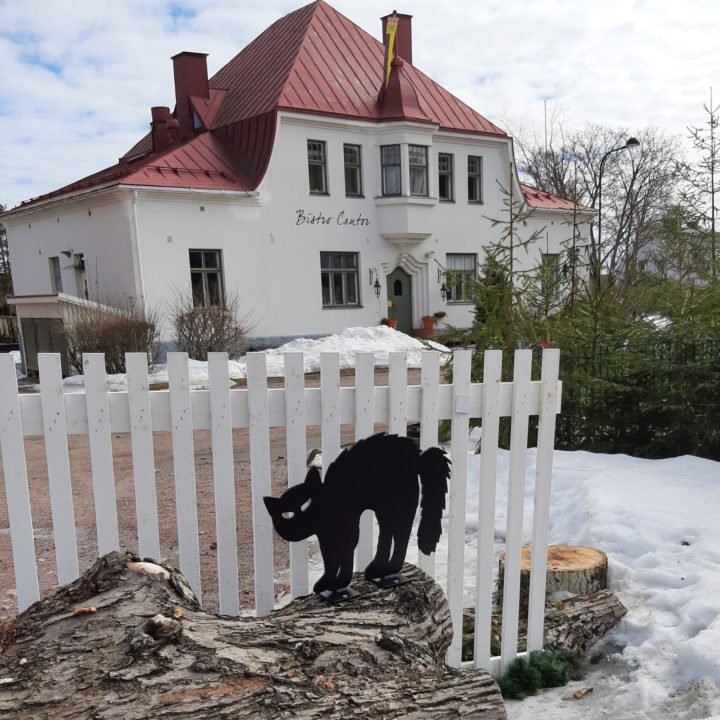 Pääsiäiskissa Suolatorin talvimetsässä. Påskkatt i Saltbodtorgets vinterskog.
