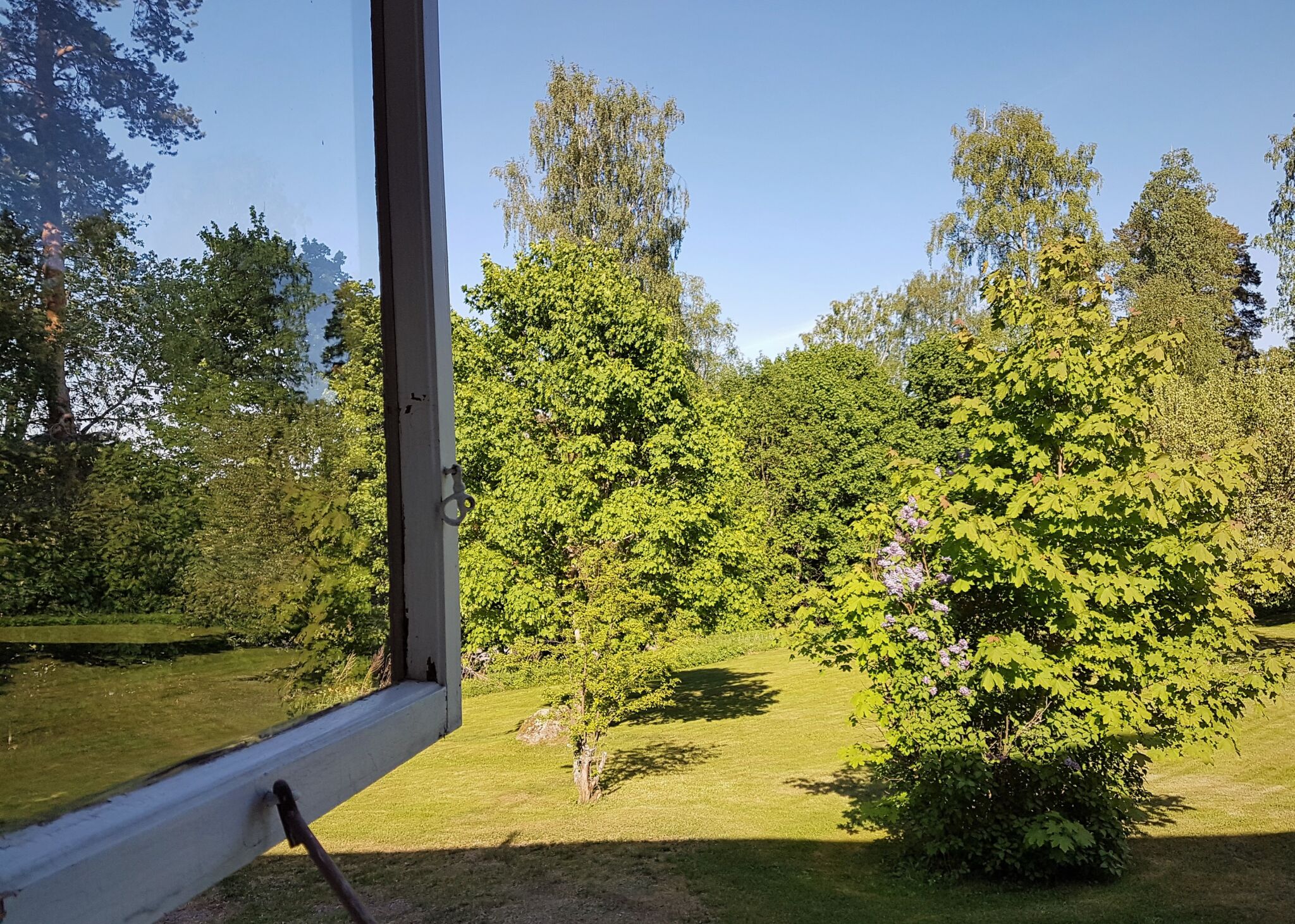 avoimesta ikkunasta aukeaa näkymä vehreälle pihalle.