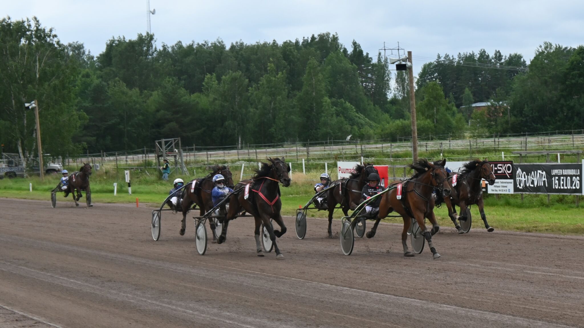 Ravihevoset kisaavat voitosta raviradalla.